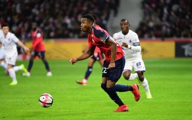 整体韧性和 整体韧性和